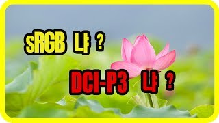 (포토샵 초급) sRGB 냐?  DCI-P3 냐?