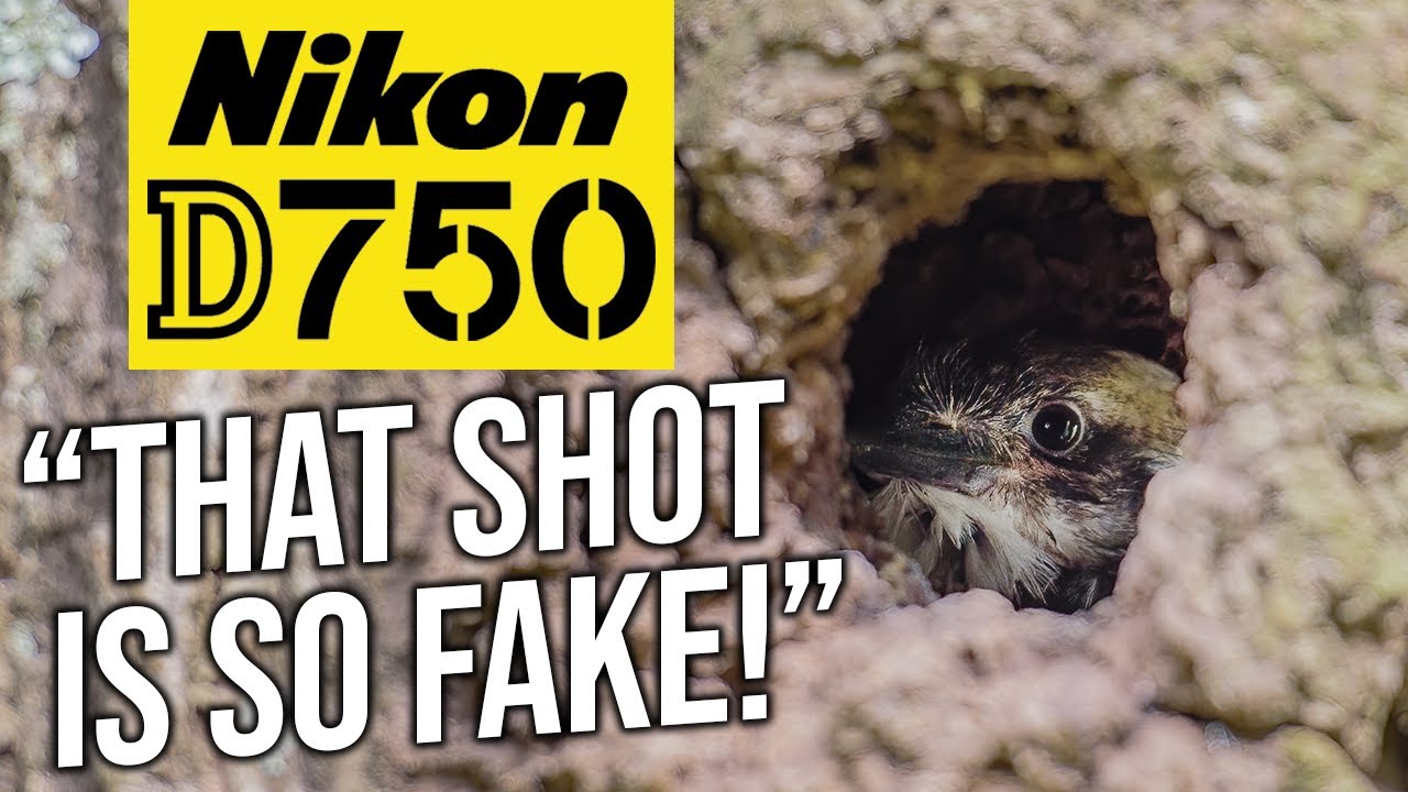 Nikon D750 | PROOF This Shot Is Not FAKE!