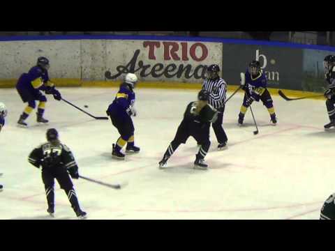 17. 2016 WSI Girls U14 SHD Global - Minnesota Selects