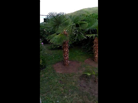 Небуг. Краснодарский край. Сентябрь 2017г.