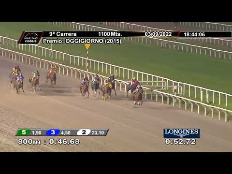 220903 c09 AFRICAN QUEEN