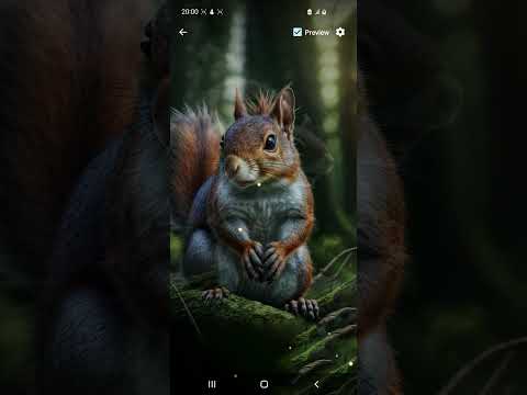 Squirrel Wallpaper Gallery