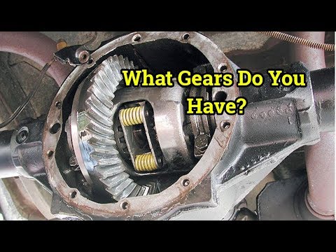 4th Gen Fbody Gear Ratio - GM RPO Codes - How To Find Your Gear Ratio