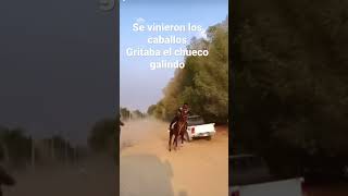 Grupo laberinto el chueco galindo.