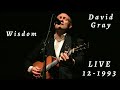 David Gray - Wisdom (Live, acoustic - December 18, 1993 at The Wetlands, New York)