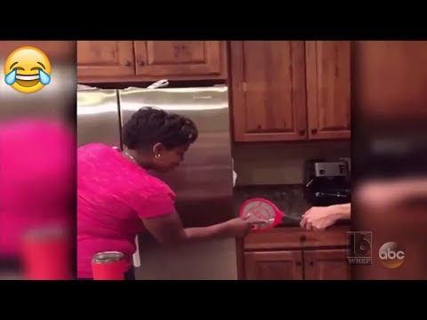 download lagu mp3 mp4 Funniest Home Videos 2018, download lagu Funniest Home Videos 2018 gratis, unduh video klip Funniest Home Videos 2018