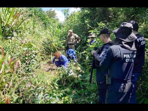 Ossada humana é encontrada em área de mata no município de Porto Grande