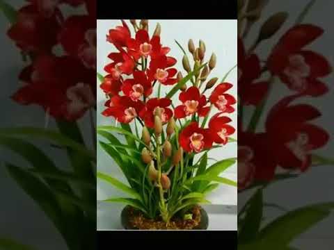 Productos Omnilife(4)