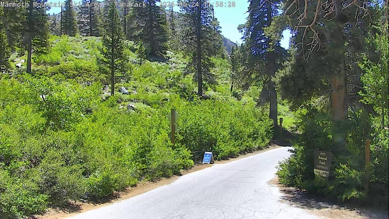 Live webcam view of Tamarack Slopes & Forest View