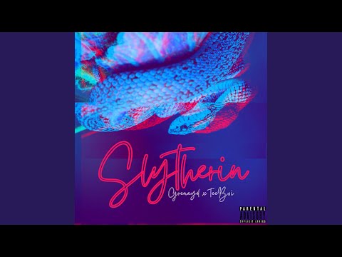 Slytherin (feat. TeeBoi)