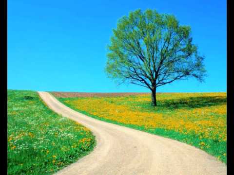 Show Me Your Way