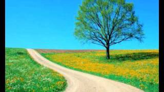 Brian Doerksen: Show me your way