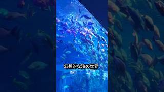 鳥羽で食べて、遊んで、また練習🎻|コンサートツアーの合間の一泊旅