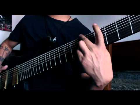 Jose Macario 8 string fingerstyle