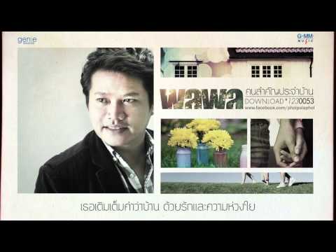 Trittiko ความอ่อนแอ เพิ่มขึ้นอัณฑะนวดแรง