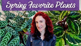Spring Plant Faves | 10 Houseplants Really Impressing Me This Spring