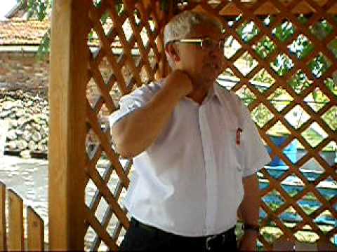 stif(olaru stefan) festival buzias 2008