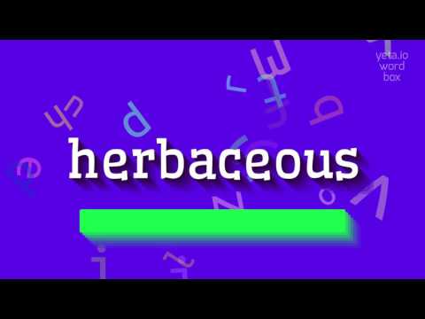 How to say "herbaceous"! (High Quality Voices)