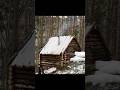 Building Log Cabin In The Woods From Wind Fallen Trees FULL VIDEO ON MY CHANNEL Bushcraft Survival