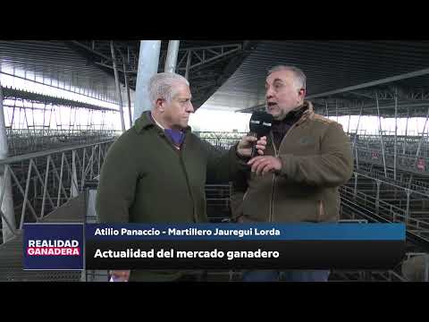 REALIDAD GANADERA - Atilio Panaccio (04-09-25)