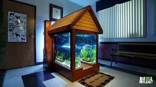 Reveal: Gone to the Dogs | Tanked