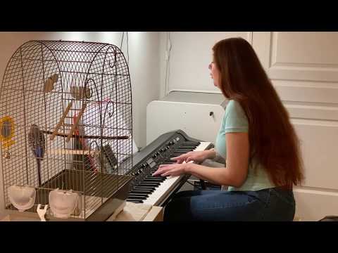 His Theme / Shattered from Undertale