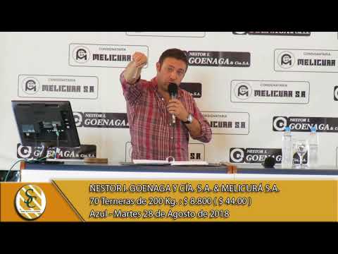 28-08-18 Ventas - Remate T.V. - Nestor I. Goenaga y Cía. S.A.& Melicurá S.A. - Azul