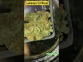 🍋 Lemon Critical cannabis strain close ups 📸 #shorts #cannabisheals #420 #weedstagram #smokedub420