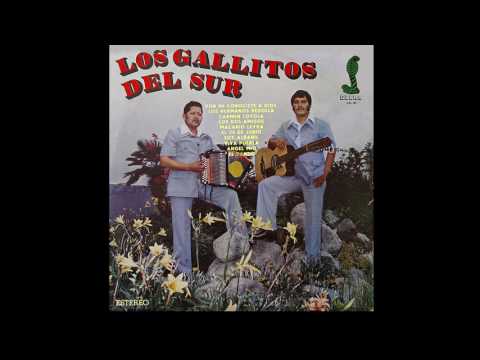 CARMEN LOYOLA - LOS GALLITOS DEL SUR