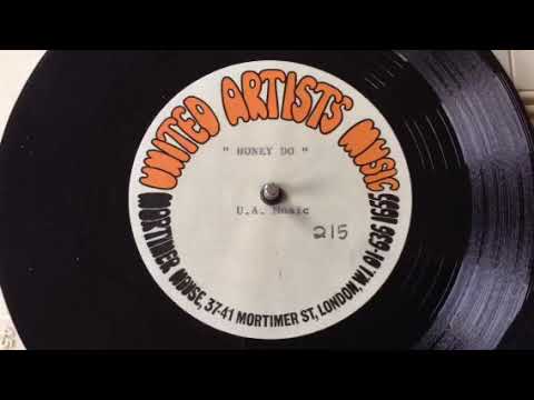 The Strangeloves "Honey Do” 1968 rare UK Demo Acetate, Garage, Mod, Dancer !!!