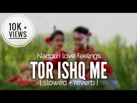 Tor ishq me ♥️🌿 [ slowed + reverb ] Nagpuri love feelings lofi 🎶🥰❤️