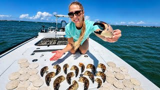 JUMBO CLAWS End of Season Traps! & Girls Day Diving for Sand Dollars!