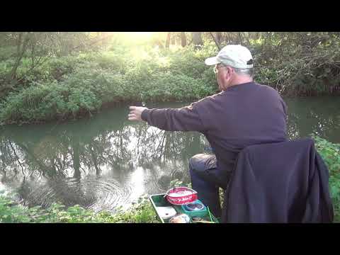 Easy Fishing Feeder Fishing on Small Streams and Rivers for Beginners with Bill Allen
