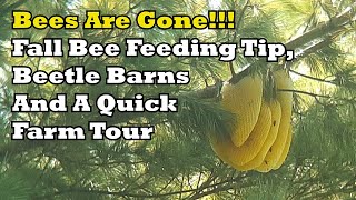 Bees Are Gone! Fall Bee Feeding Tip, Beetle Barns & A Quick Farm Tour