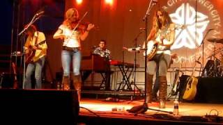 Court Yard Hounds  - Unknown Song