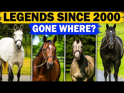 Every Kentucky Derby Winner Since 2000 (Where Are They Now?)