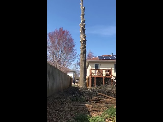 Точный расчет и никакой магии