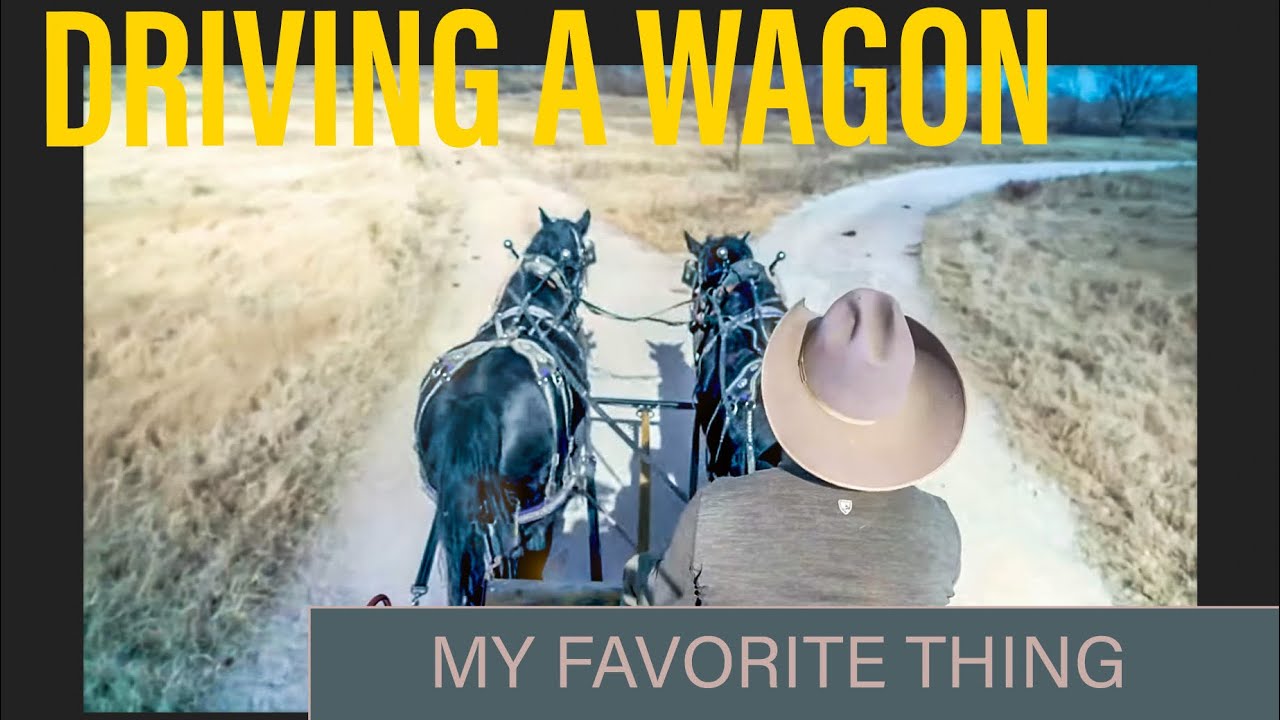 This went about 90% better than I thought it would. #horses #ranch #cowboy