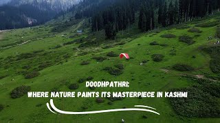 Doodhpathri: Where Nature Paints Its Masterpiece in Kashmir 🌹