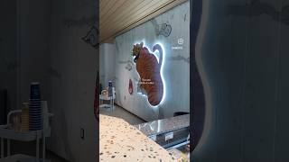 【トロントカフェ | toronto cafe】📍 De Mello Coffee #カナダ #トロント #ワーホリ #留学 #カフェ #canada #toronto #torontocafe