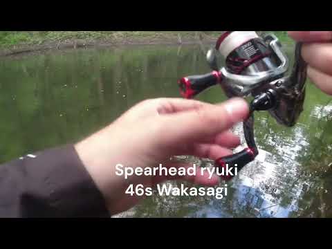 Spearhead Ryuki 46S - ADA4013 Wakasagi