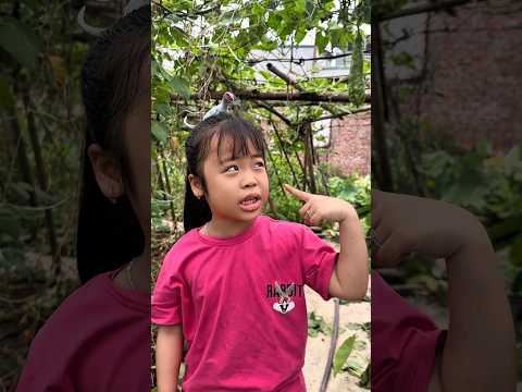 hahahi - Trên Đầu Em Dính Cái Gì Kìa? | Hà Hà Hí | #shorts