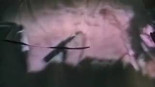 EMPTY FRAME  by ENO &amp; CALE