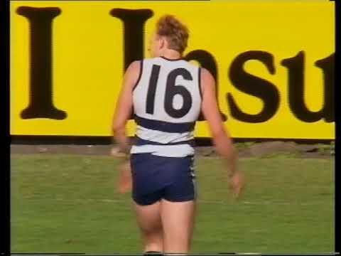 AFL Round 21, 1993 - Geelong vs Essendon - (Kardinia Park)