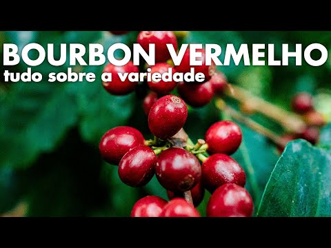 Como preparar Café Frutado, capa do vídeo