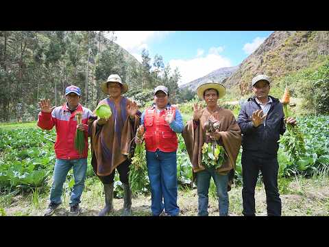 Pinra Huacaybamba Huanuco Proyecto Haku Wiñay de FONCODES capacita y financia a emprendedores