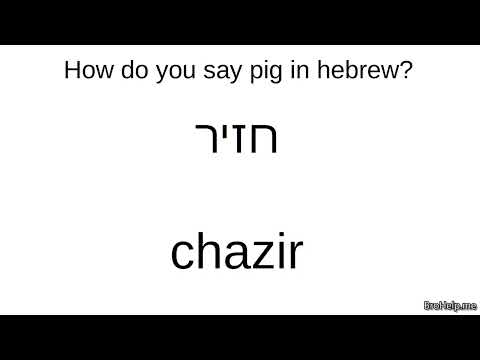 How do you say pig in hebrew