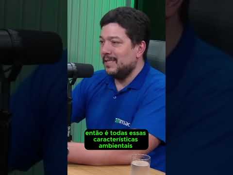 Pecuária de MT: gigante em números e inovação