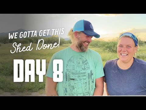 Get This Shed Done - Day 8 - Prep for Finishing Plaster in Office and CLEAN UP!