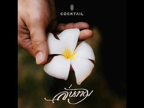 ลั่นทม - Cocktail เพลงประกอบซี่รี่ หอมกลิ่นความรัก [Audio] #cocktail